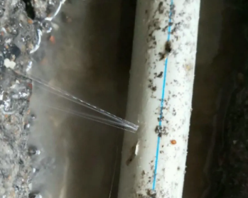 建瓯卫生间测漏水多少钱