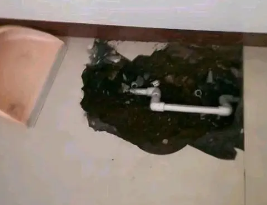 建瓯卫生间测漏水多少钱